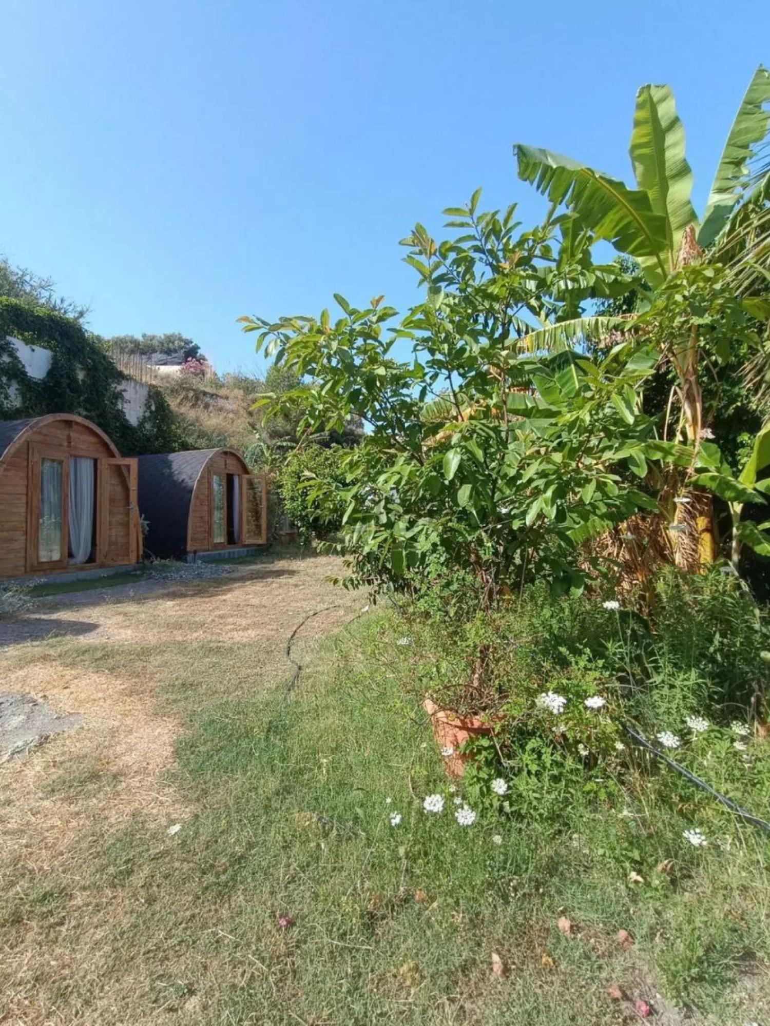  te koop boerderij Motril Costa Tropical 23