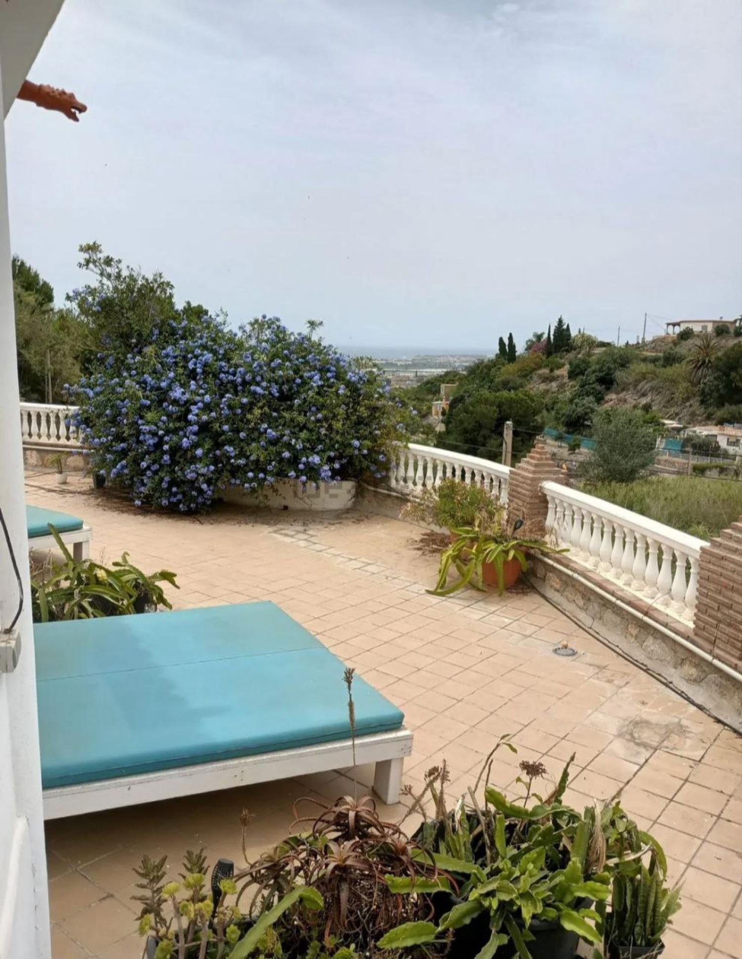  te koop boerderij Motril Costa Tropical 31