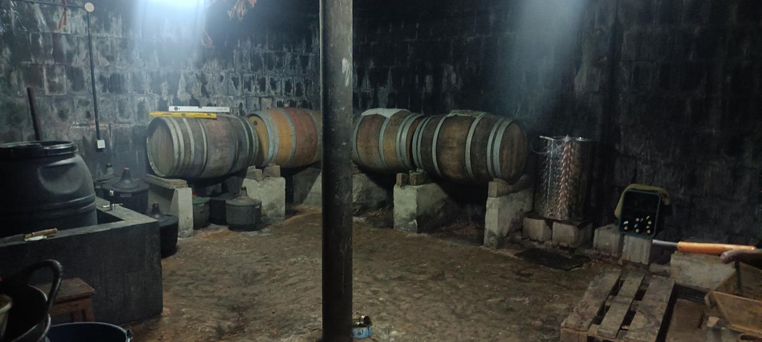  te koop villa Camponaraya Bierzo (El) 5