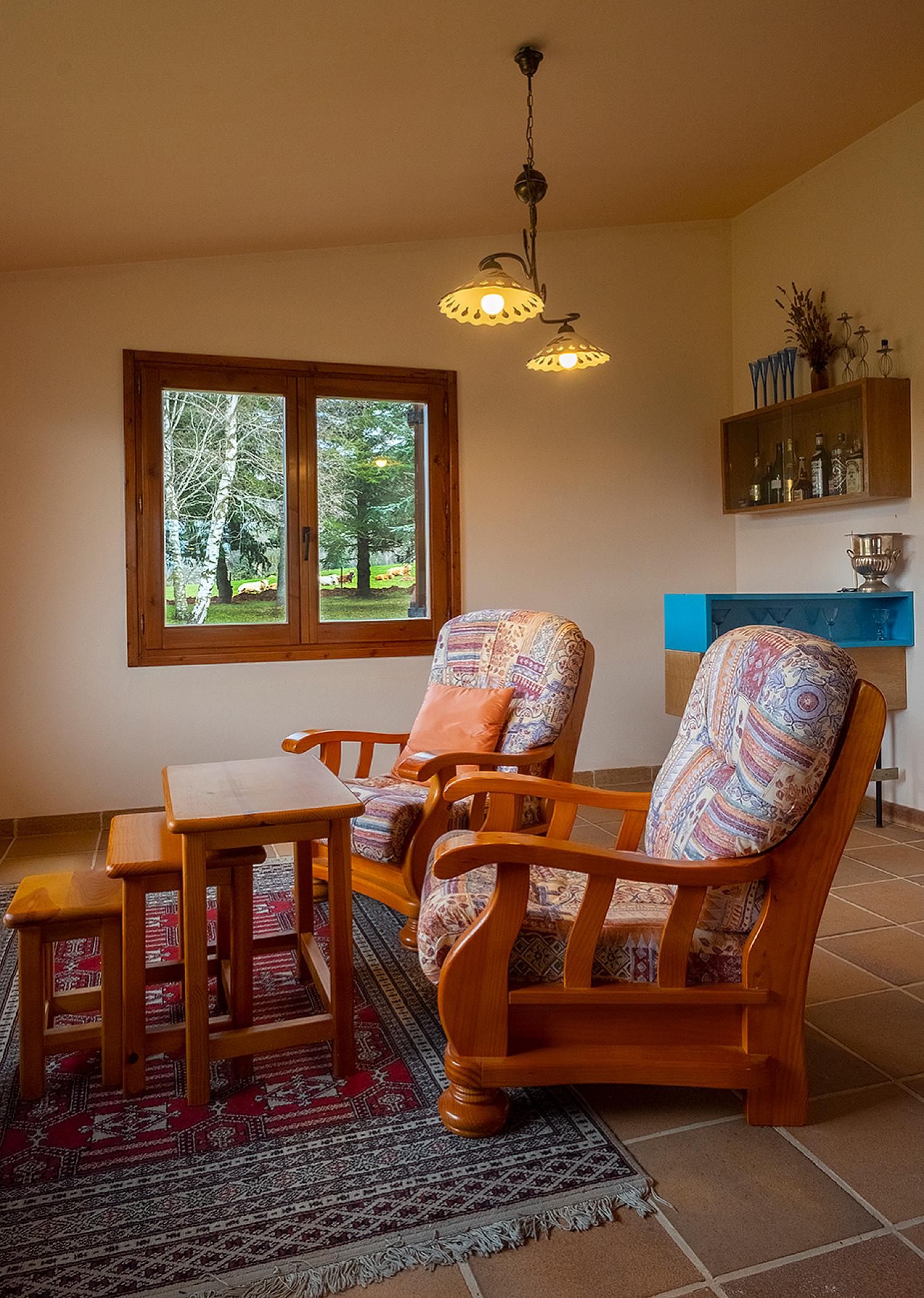  te koop villa Vallfogona De Ripollès Ripollès 14