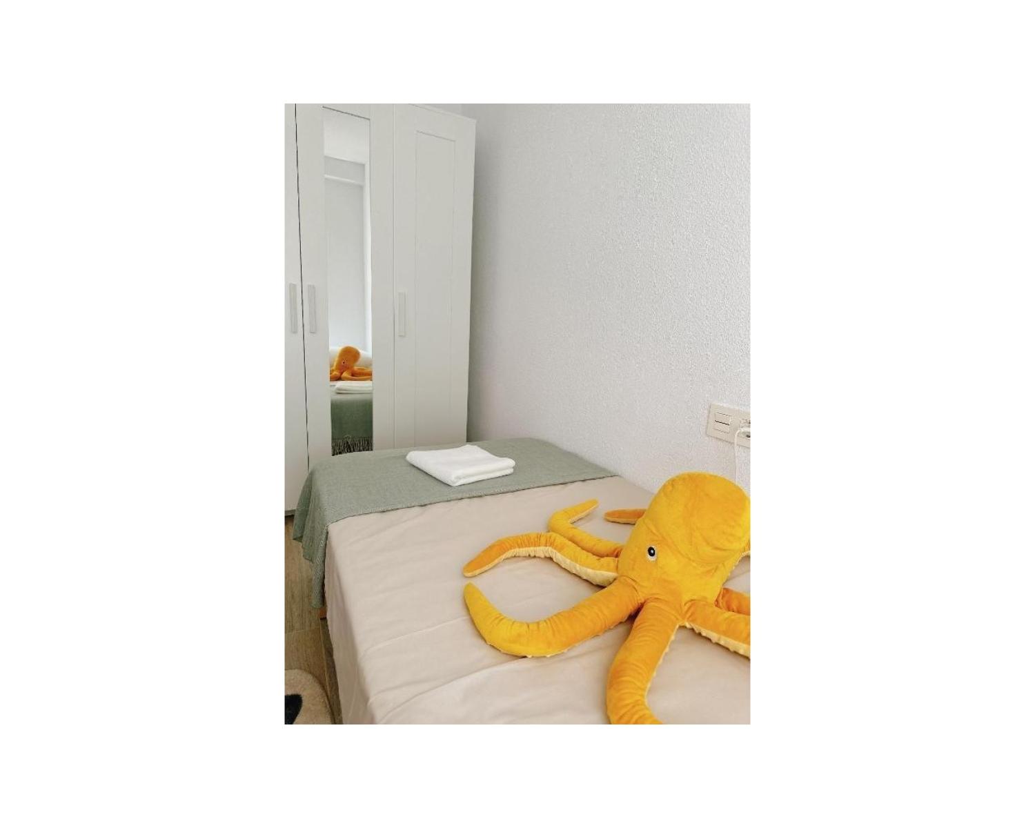  te koop appartement Playa Del Cura Baix Segura 13