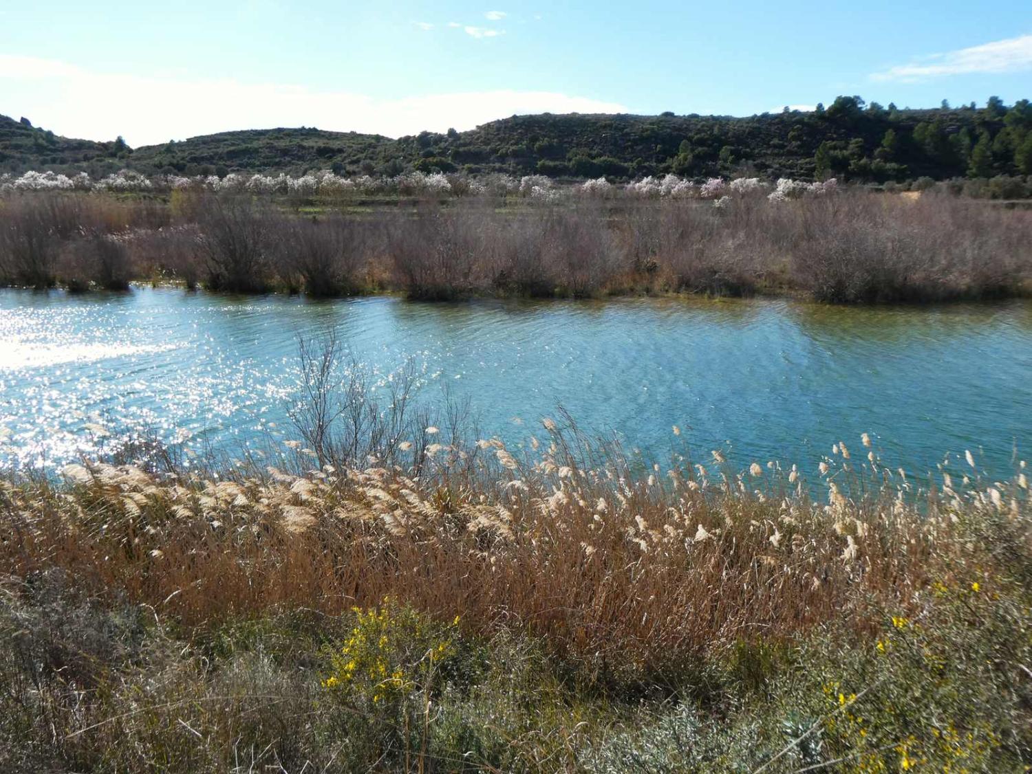  te koop boerderij Fabara Bajo Aragón-Caspe 4