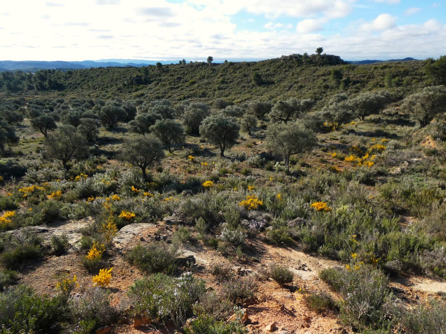  te koop boerderij Fabara Bajo Aragón-Caspe 27