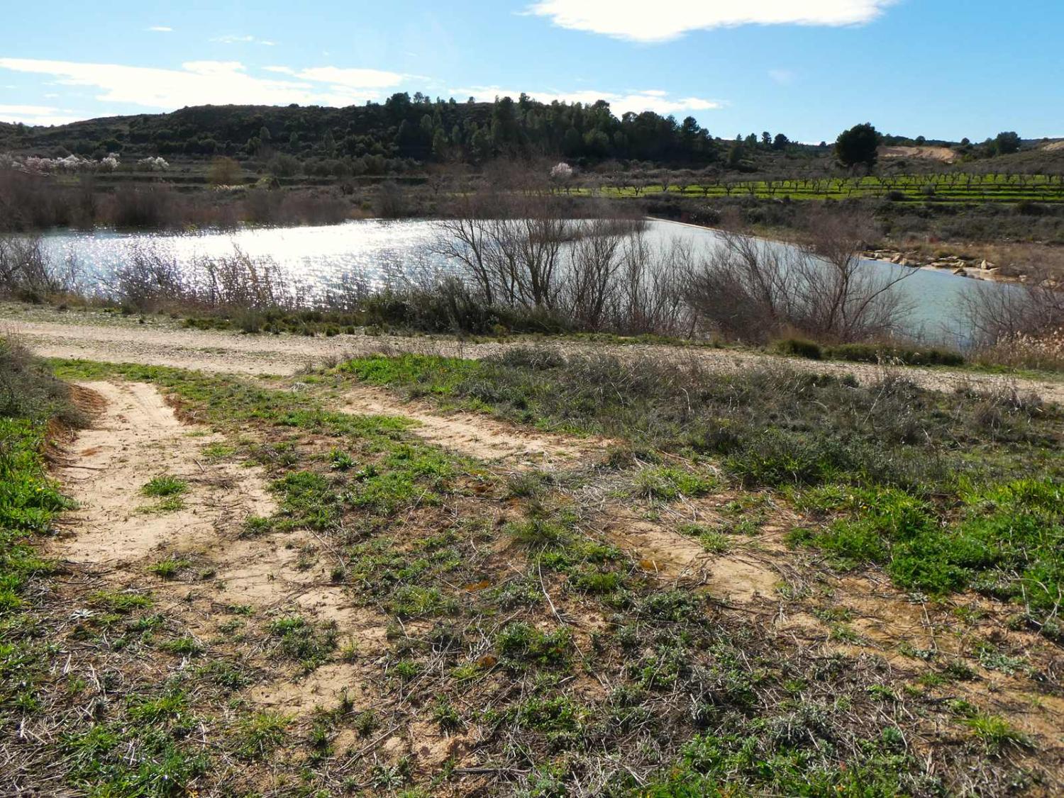  te koop boerderij Fabara Bajo Aragón-Caspe 33