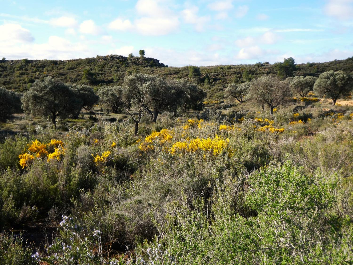 te koop boerderij Fabara Bajo Aragón-Caspe 26