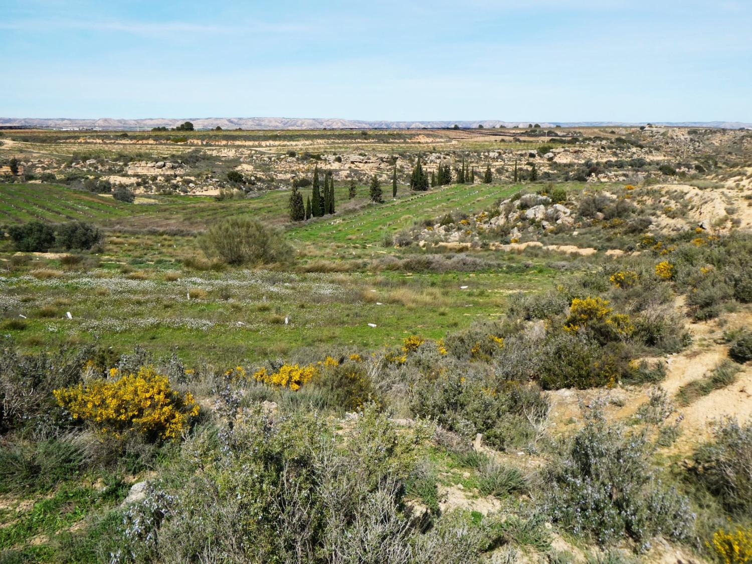  te koop boerderij Caspe Bajo Aragón-Caspe 38