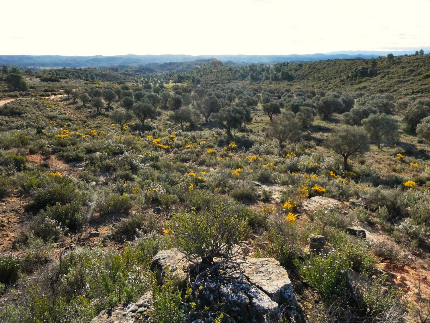  te koop boerderij Fabara Bajo Aragón-Caspe 28