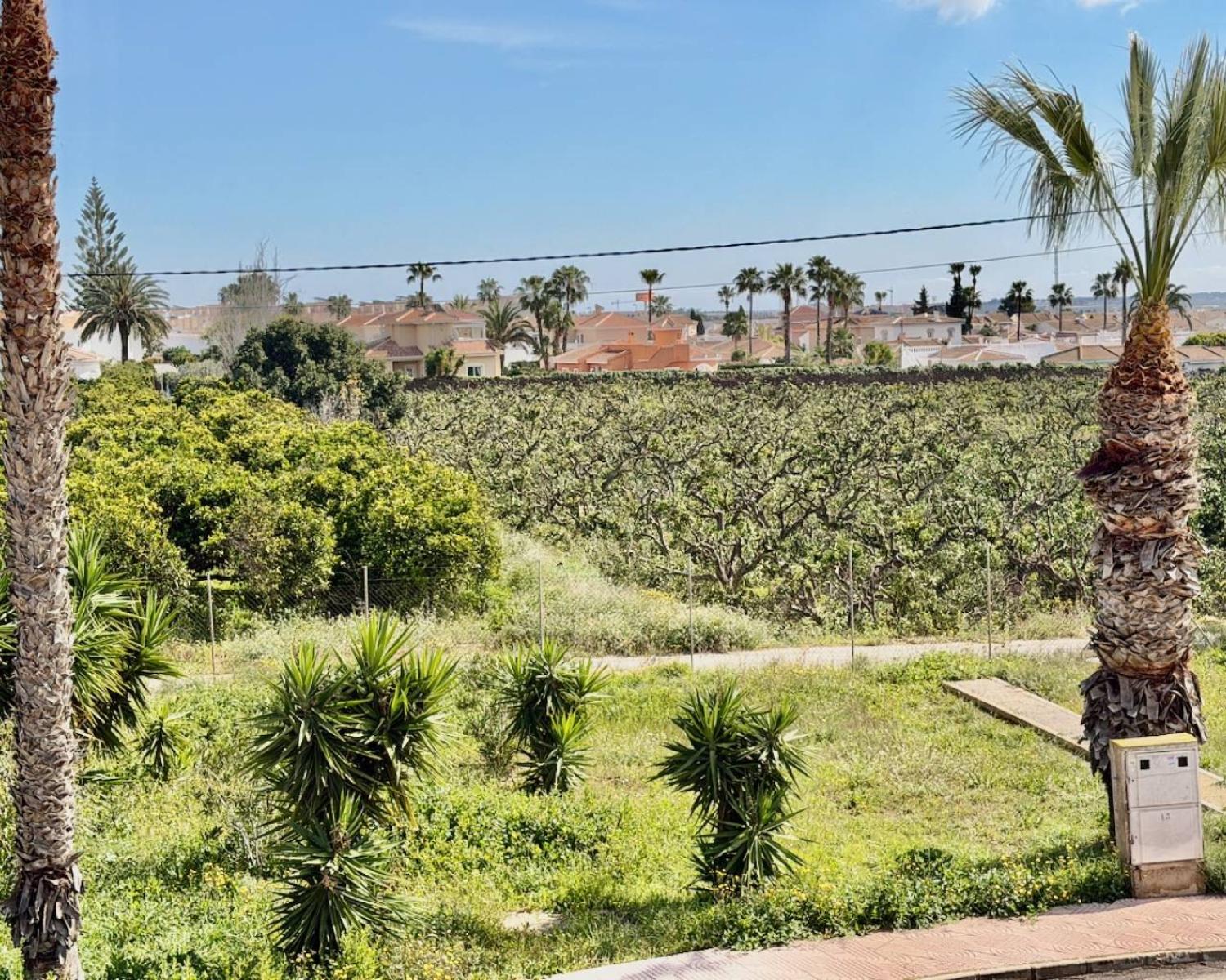  te koop appartement Ciudad Quesada Baix Segura 14