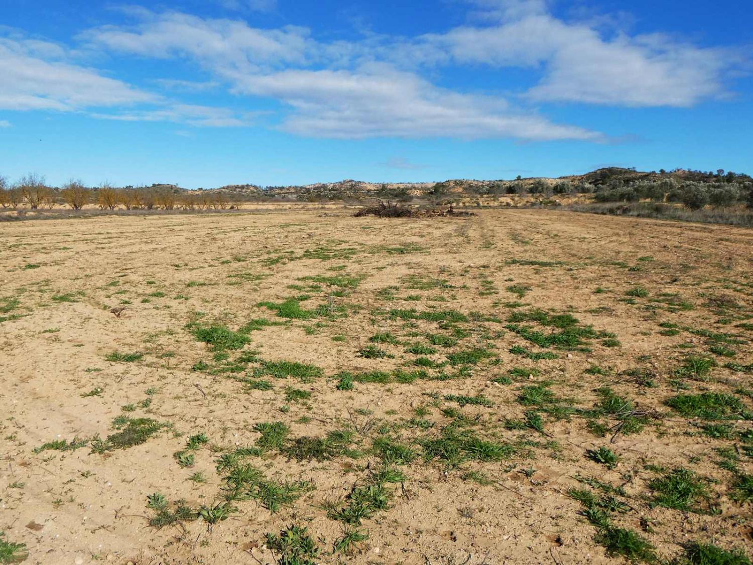  te koop boerderij Fabara Bajo Aragón-Caspe 17