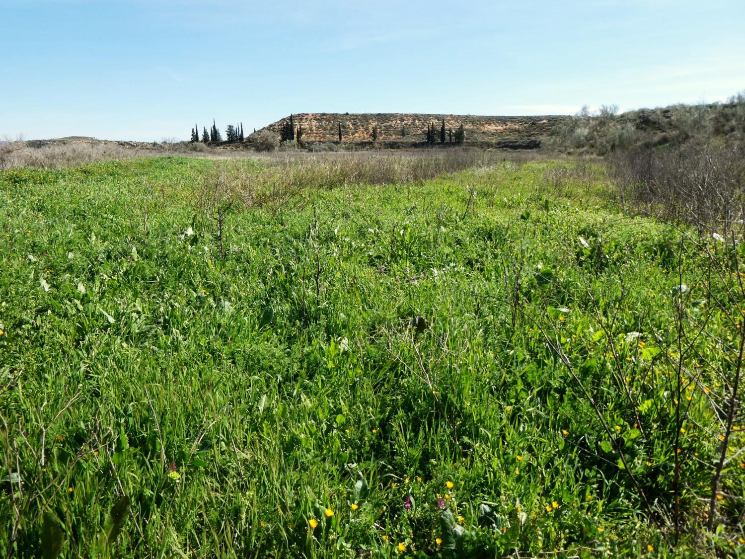  te koop boerderij Caspe Bajo Aragón-Caspe 33