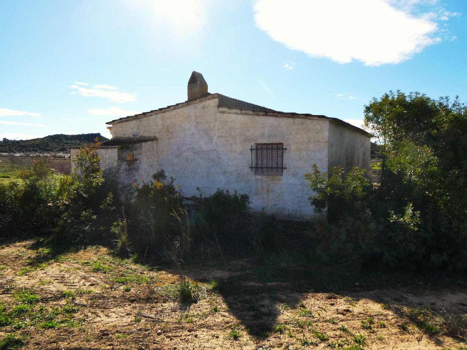  te koop boerderij Fabara Bajo Aragón-Caspe 21