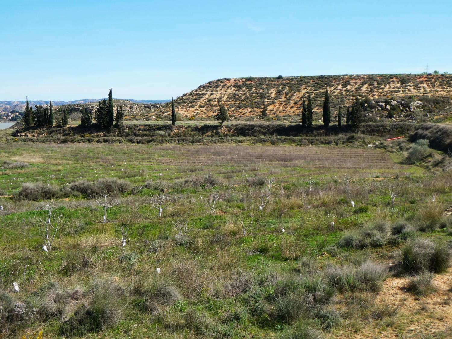  te koop boerderij Caspe Bajo Aragón-Caspe 34