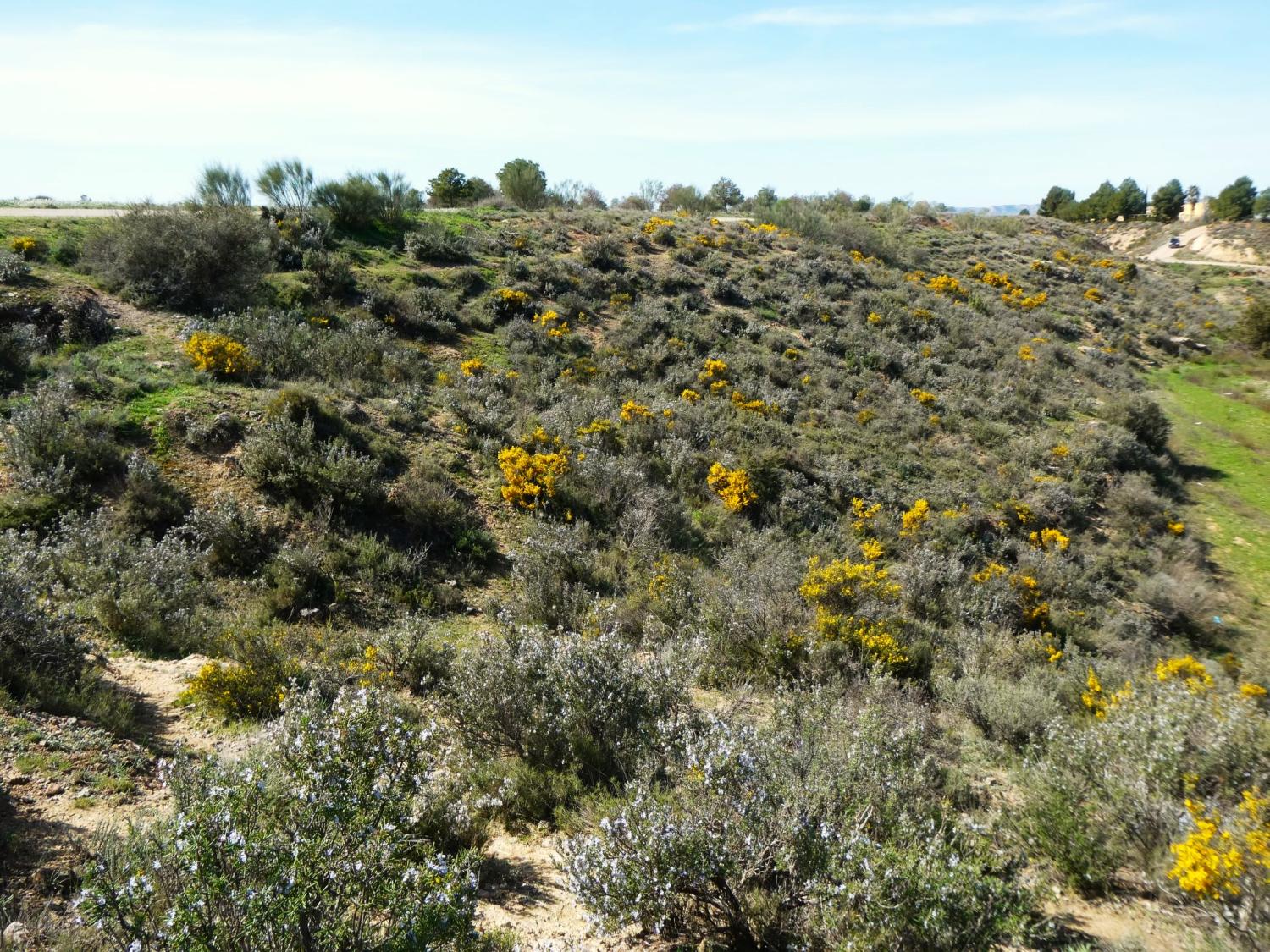  te koop boerderij Caspe Bajo Aragón-Caspe 36
