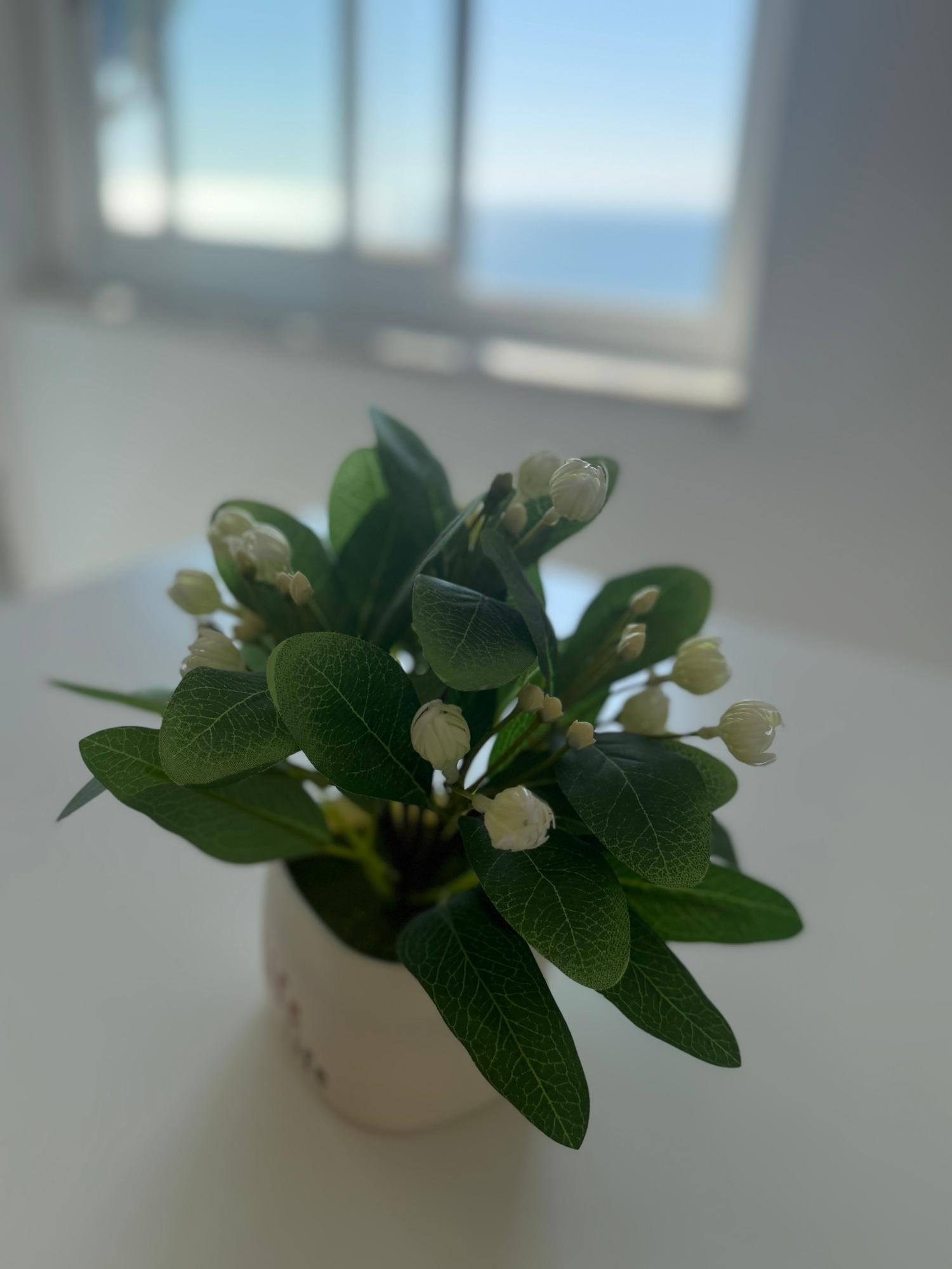  te koop appartement Santa Pola Baix Vinalopó 16