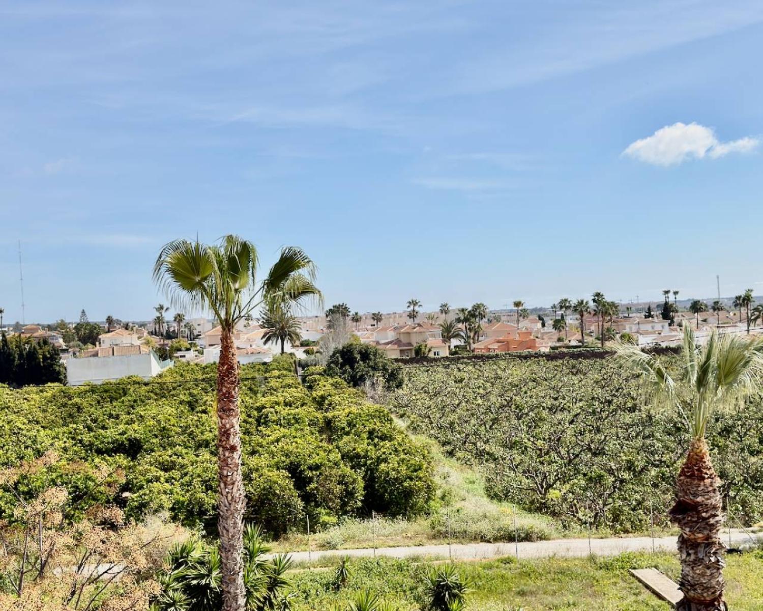  te koop appartement Ciudad Quesada Baix Segura 16