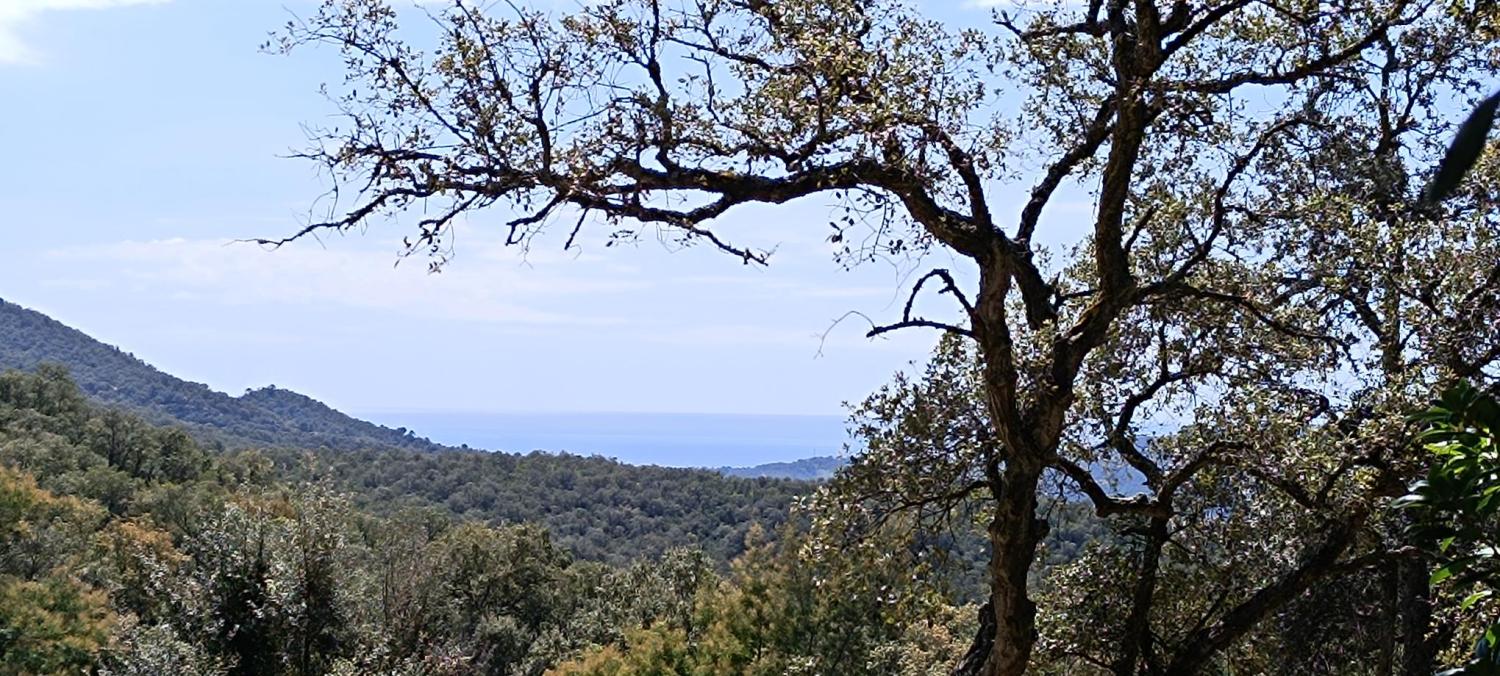  te koop perceel Fontbona Gironès 2