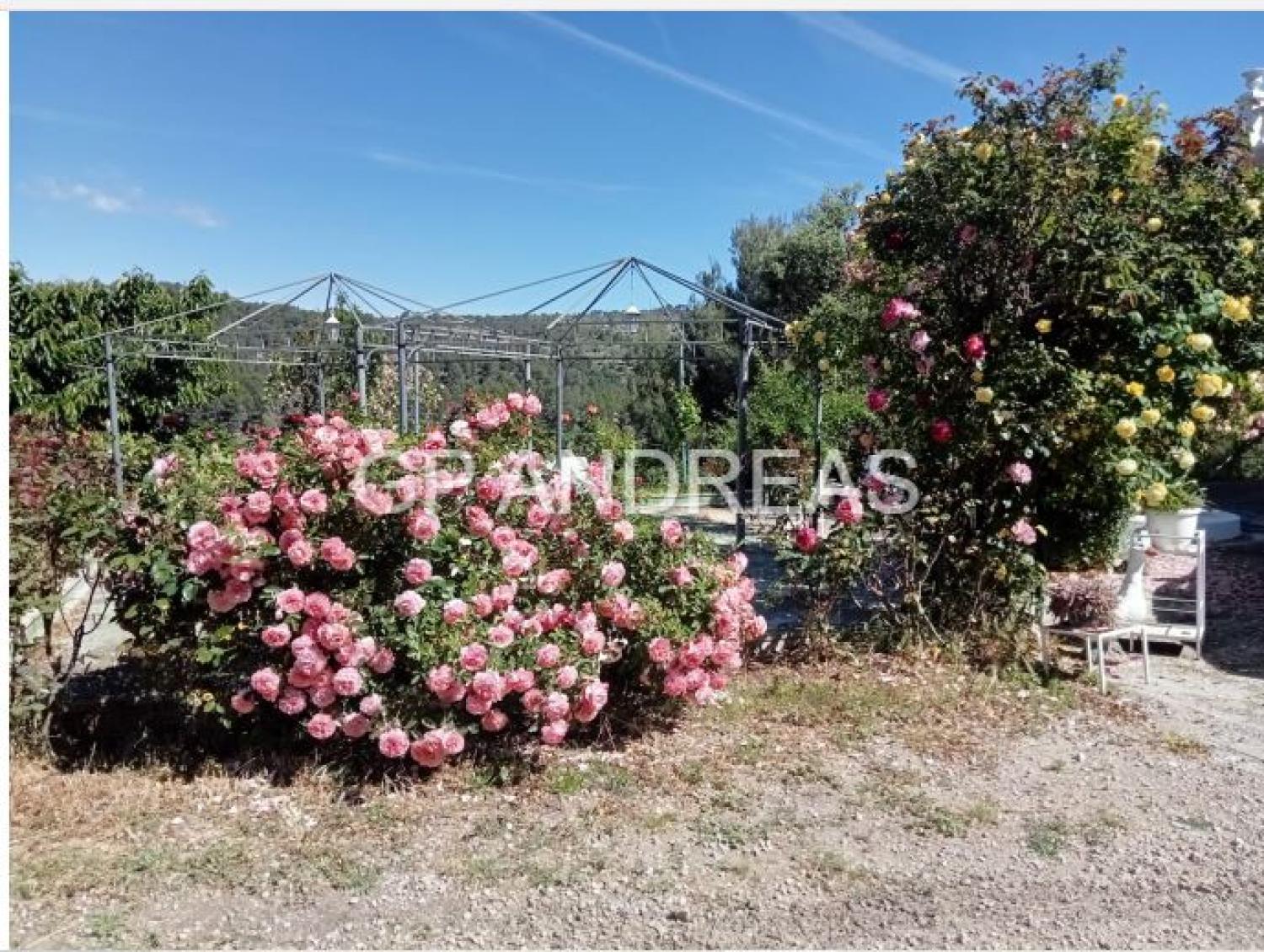  te koop villa Alcoi 03803 Alcoia 40