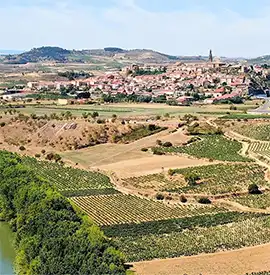 huizen te koop in de Spaanse wijnregio’s